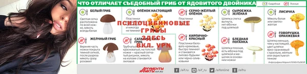 гашик Нефтегорск