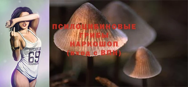 гашик Нефтегорск