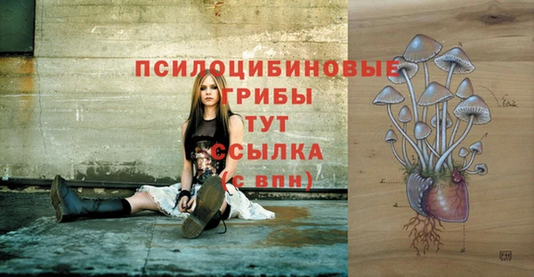 мескалин Новозыбков