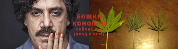 гашик Нефтегорск