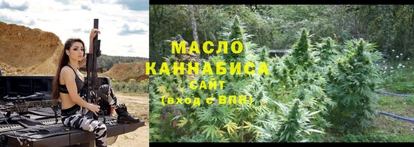 крисы Новодвинск