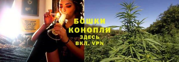 крисы Новодвинск