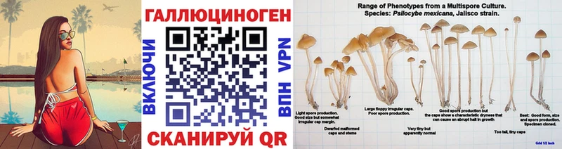 хочу нарко площадка состав Псилоцибиновые грибы прущие грибы Палласовка